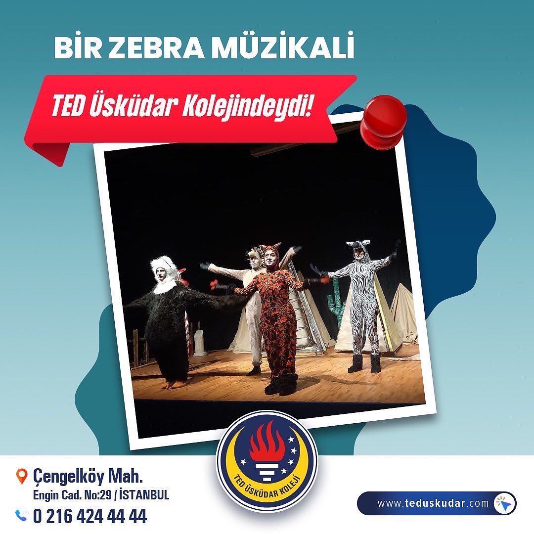 Müzikal Etkinliği