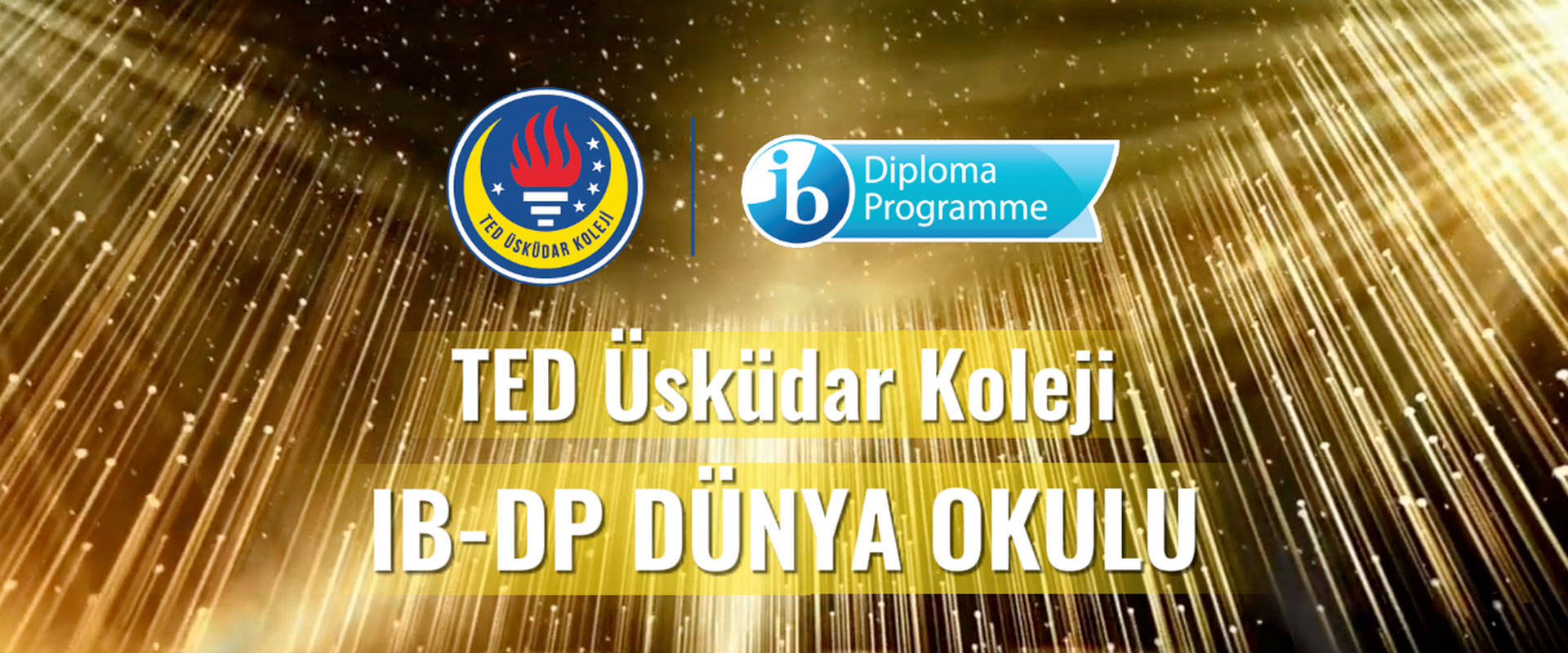 IB DÜNYA OKULU
